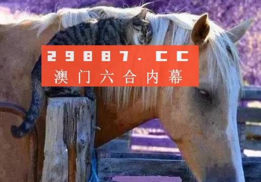 澳門正版大全免費資料121期 05-07-14-18-38-42P：05,澳門正版大全資料解析，第121期及特定號碼組合探索（標(biāo)題）